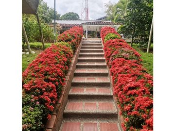 VENTA DE FINCA EN SANTA FE DE ANTIOQUIA