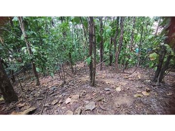 VENTA DE FINCA EN SANTA FE DE ANTIOQUIA