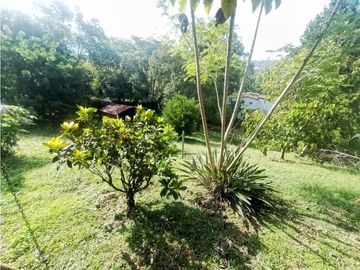 VENTA DE FINCA EN SOPETRAN