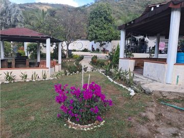 Venta De Finca En Sopetran