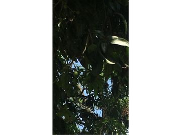 Venta De Hermosa Casa En Sopetran