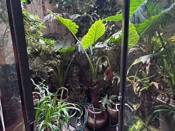 Casa en condominio en RENTA en Parques de la Herradura