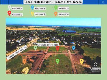 Loteo en Colonia Avellaneda