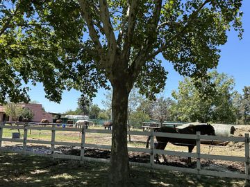 VENTA Casa Haras Del Sol Pilar-Pileta-Amplio Terreno-Losa radiante-Hipico-Tenis-Paddle-APTO CREDITO