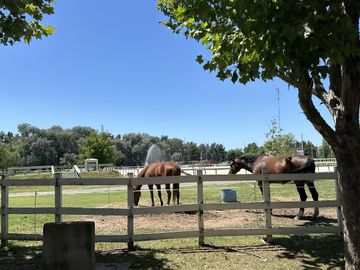 VENTA Casa Haras Del Sol Pilar-Pileta-Amplio Terreno-Losa radiante-Hipico-Tenis-Paddle-APTO CREDITO