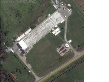 Nave Industrial - Venta - Moreno