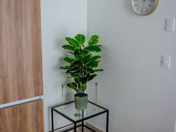 VENTA DEPARTAMENTO, 2 RECÁMARAS, 2 BAÑOS, PORTALES, BENITO JUAREZ, CDMX
