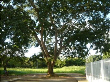 Venta Apartamento El Recreo Montería Córdoba