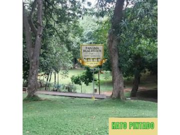 VENTA DE APARTAMENTO CON LINEA BLANCA EN HATO PINTADO