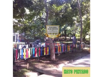 VENTA DE APARTAMENTO CON LINEA BLANCA EN HATO PINTADO