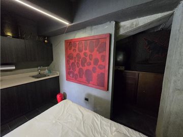 Casa en Arriendo Amoblada en Medellín Alto de Palmas