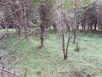 Parcela en venta en AYSÉN