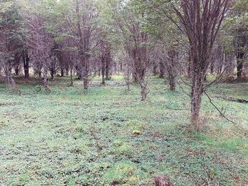 Parcela en venta en AYSÉN