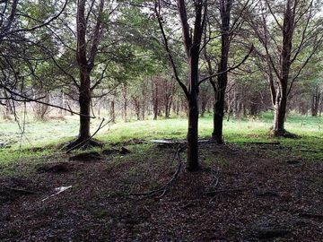 Parcela en venta en AYSÉN