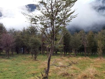 Parcela en venta en AYSÉN