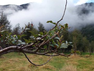 Parcela en venta en AYSÉN
