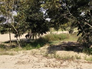 Terreno en  Terreno en Venta en LM-124, Asia, Perú