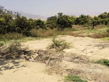 Terreno en  Terreno en Venta en LM-124, Asia, Perú