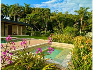 Diseño naturaleza y paz