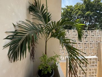 Casa en venta totalmente restaurada a 2 cuadras de la calle 60 en Mérida Yucatán