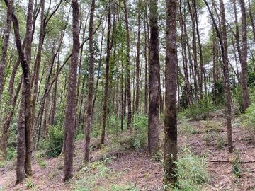 Parcela en Venta en Valdivia