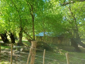 Chacra - Mallin Ahogado
