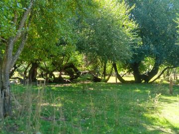 Chacra - Mallin Ahogado