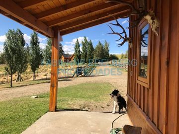 CASA DE CAMPO 19 HECTAREAS VISTAS VOLCAN LANIN  - Junin De Los Andes