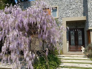 Casa - Saint Thomas