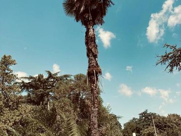 Venta Terreno - La Lonja Pilar