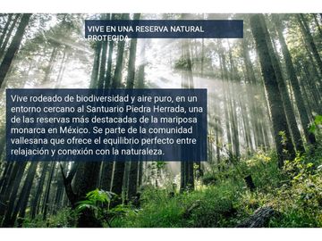 RESERVA MONARCA