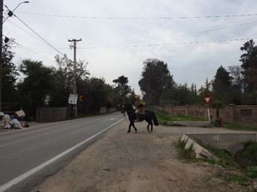 Hermosa parcela en buin (excelente conectividad)