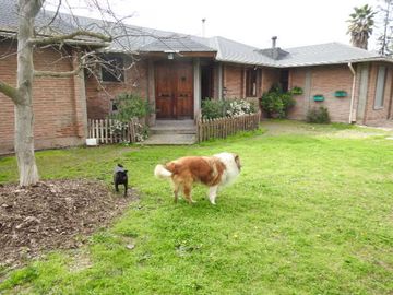 Hermosa parcela en buin (excelente conectividad)