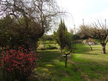 Hermosa parcela en buin (excelente conectividad)