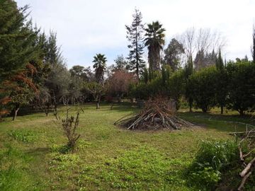 Hermosa parcela en buin (excelente conectividad)