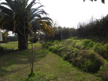 Hermosa parcela en buin (excelente conectividad)