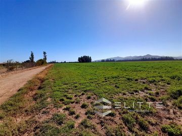 Parcela en Venta en (DCV) Camino Lonquén Sur con Camino Los Perros