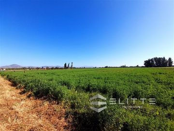 Parcela en Venta en (DCV) Camino Lonquén Sur con Camino Los Perros
