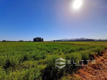 Parcela en Venta en (DCV) Camino Lonquén Sur con Camino Los Perros