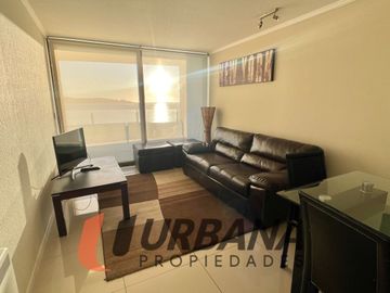 JARDIN DEL MAR COQUIMBO