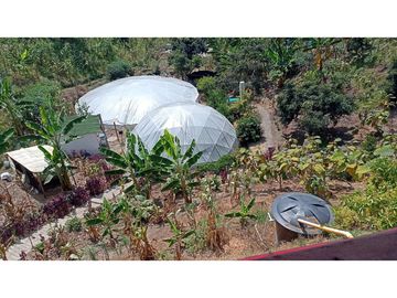 FINCA EN VENTA EN RIONEGRO ANTIOQUIA, DE DESCANSO Y PRODUCCION.