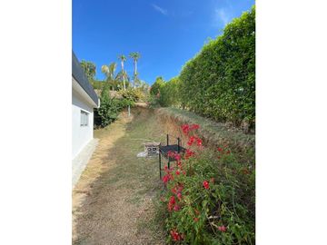Venta De Finca En Sopetran