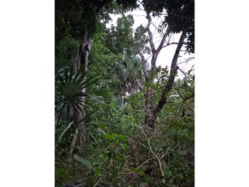 Casa en venta para remodelar en el centro de Mérida