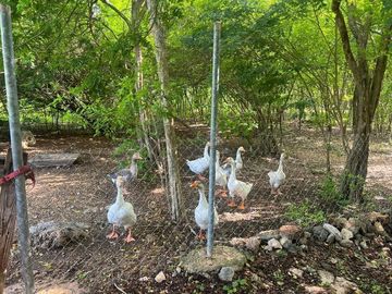 Hacienda en Samahil Uman Yucatan en Venta