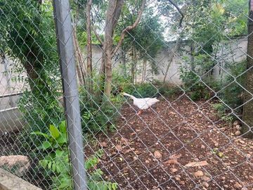 Hacienda en Samahil Uman Yucatan en Venta