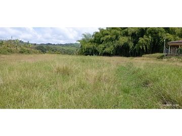 VENTA DE HERMOSA FINCA PARA PRODUCCION DE AGUACATE HAZZ
