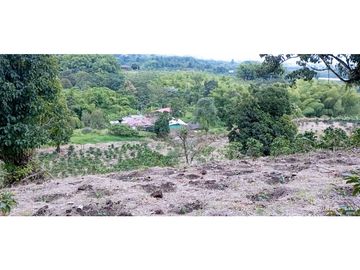 VENTA DE HERMOSA FINCA PARA PRODUCCION DE AGUACATE HAZZ