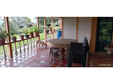 VENTA DE HERMOSA FINCA PARA PRODUCCION DE AGUACATE HAZZ