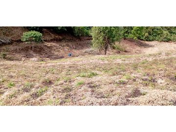 VENTA DE HERMOSA FINCA PARA PRODUCCION DE AGUACATE HAZZ