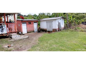 VENTA DE HERMOSA FINCA PARA PRODUCCION DE AGUACATE HAZZ